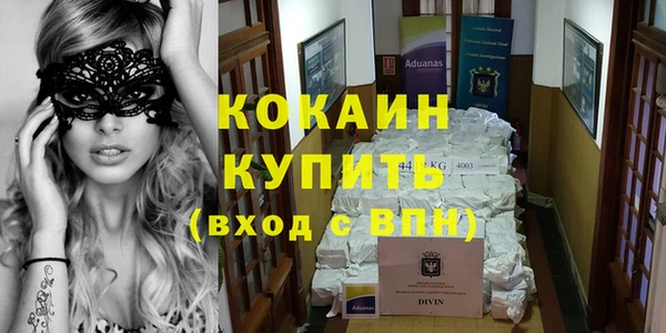 гашик Аркадак