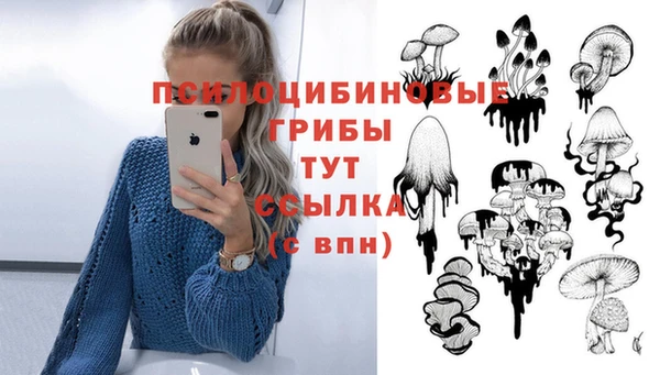 меф Алзамай