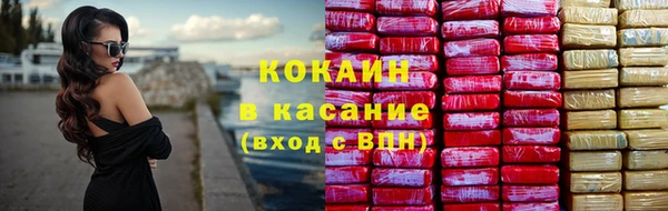 гашик Аркадак