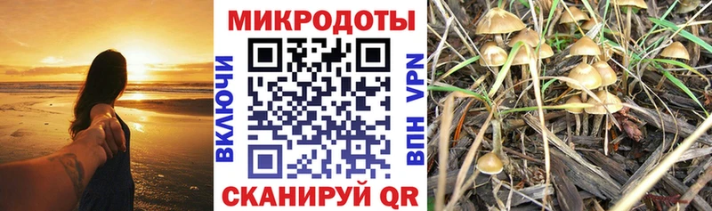 Псилоцибиновые грибы GOLDEN TEACHER купить закладку Усть-Илимск